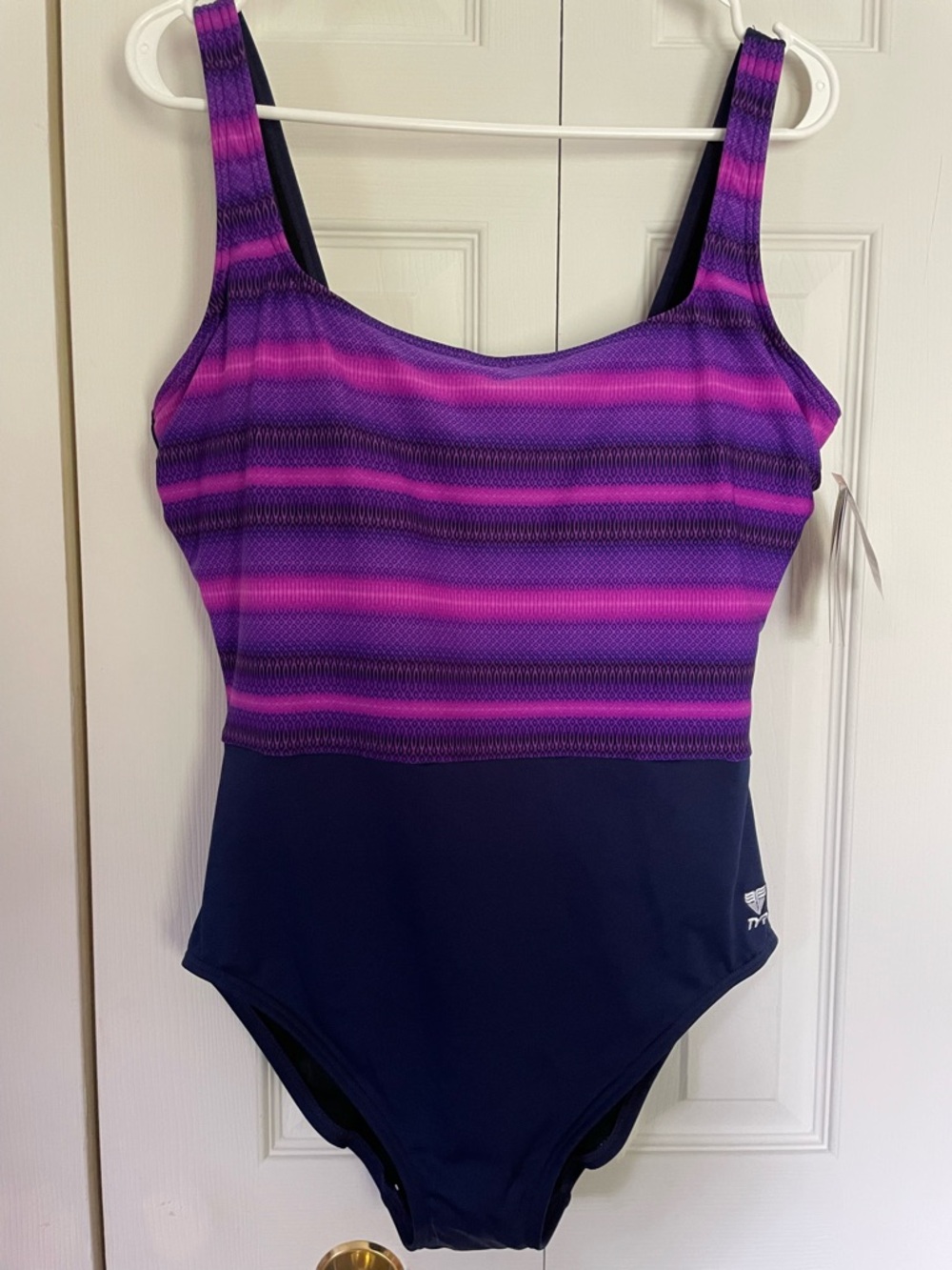 TYR Purple and Pink Striped One-Piece Swimwear